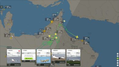الطيران في المنطقة